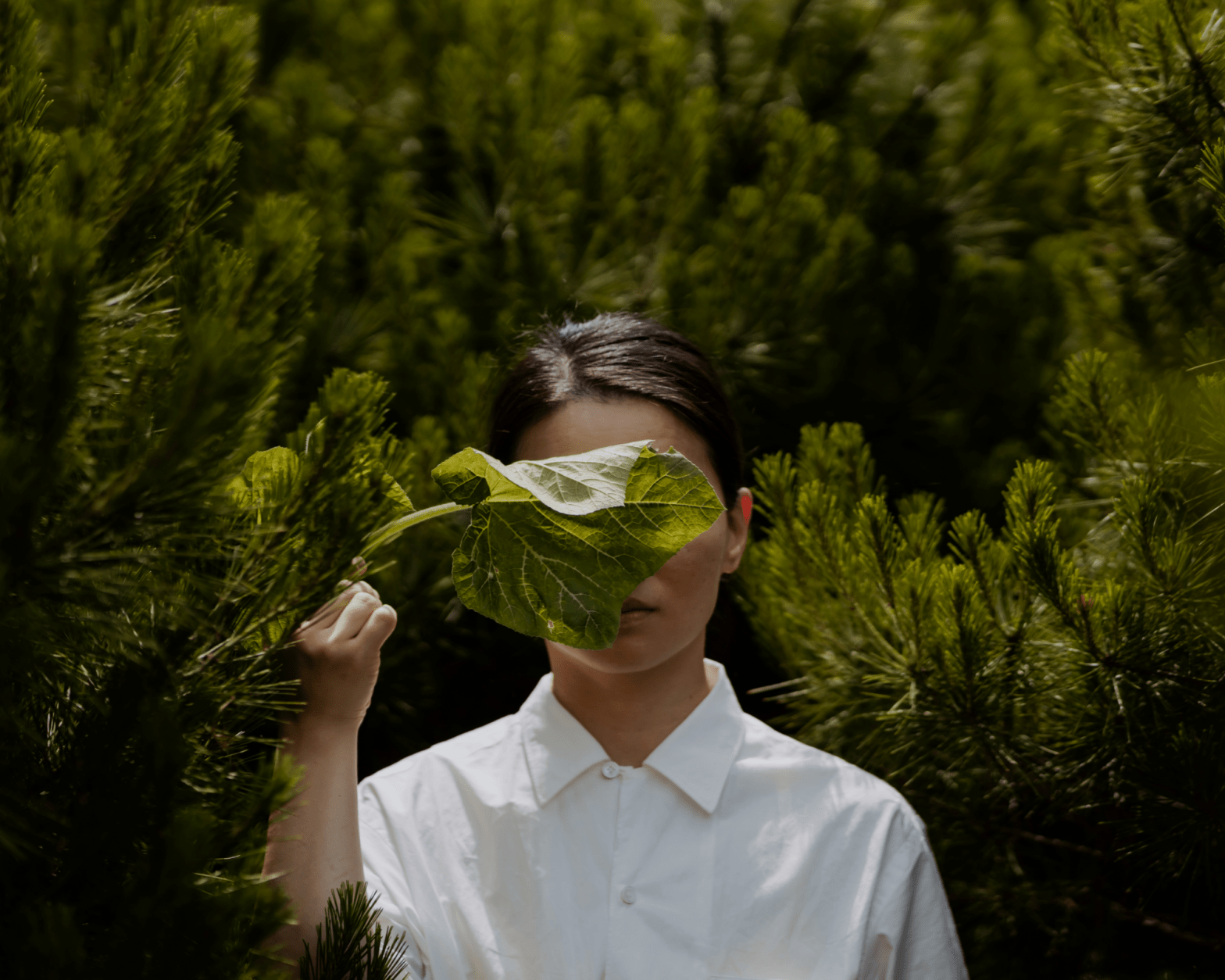 Que los KPI no te impidan ver el&nbsp;bosque